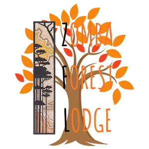 kande beach logo