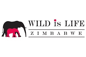 WIL 