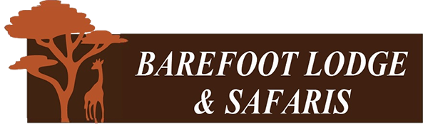Barefoot logo Barefoot logo